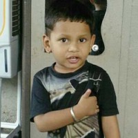 Pl Krishna