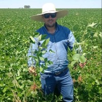 João Batista Luiz Junior