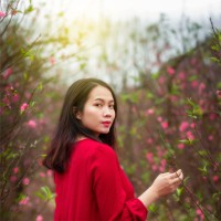 Do Anh Nguyet
