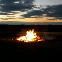 Dipl. Biol. Monique Seyfarth