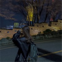 양유진
