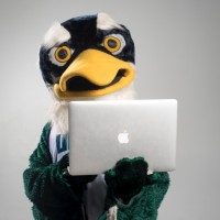 Sammy C. Hawk