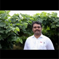 Prashant B.