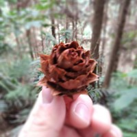 陈银汉