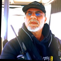 Dario Cappanera