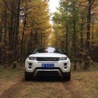 王会来