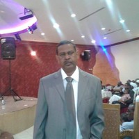 اسامة على الحسن