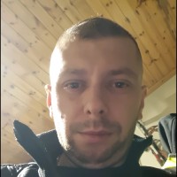 mircea taranu