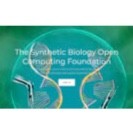 Community Manager North America