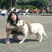 楊小雅