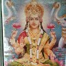 Shiva Sangu
