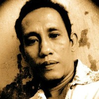 Wardi Mai Tri