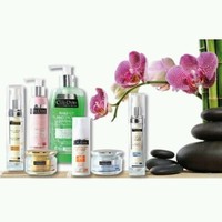 Chaudiere Cosmetic