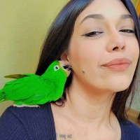 Aline Pavan Damaceno Souza