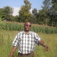 David KIMELI
