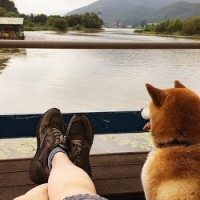 권오열