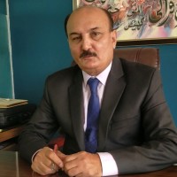 Syed Raza Hussain Shah