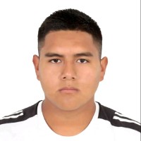 Ricky Reyson Valdivia Izarra