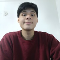 Moisés Pardave Tucto