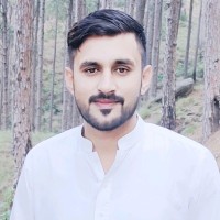 Hamza Adrees