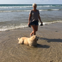 Jo Davis