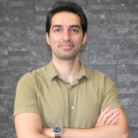 Mojtaba M. Shourkaei