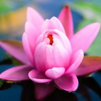 Tawn Glivinski Spence