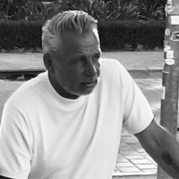 Robert van Gestel MA