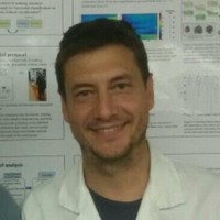 Javier Minguez, Prof. Phd.