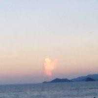 刘术林
