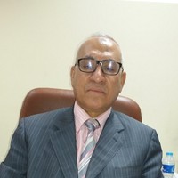 Elsayed Hegazy