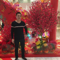 张东鹏