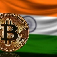 Indian Crypto Trader