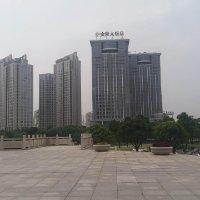 魏春风