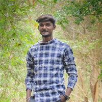 Vignesh P