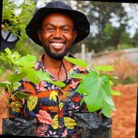 Thiong'o Gachie