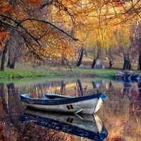 mireli flor fiorote lima