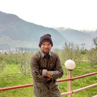 Arif M