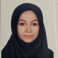 Fatemeh Abravesh