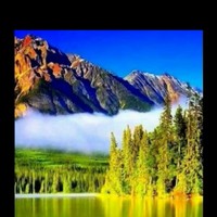 محمدبشير بشير