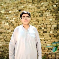 M Mohsin