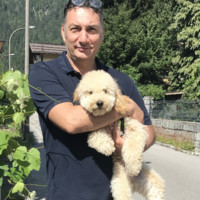 Diego Dentello