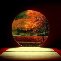 Bruce Qin