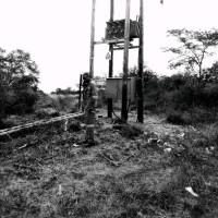 Eumorland Mavunga
