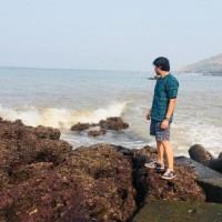 Sreedhar Gadalaye