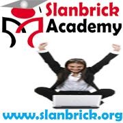 Slan Brick