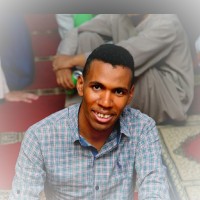 Abdelhamed Sayed