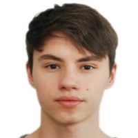 Dan Surdu