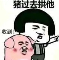 杨贞红