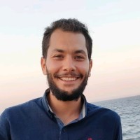 Ahmed Selim El-Nahrawy